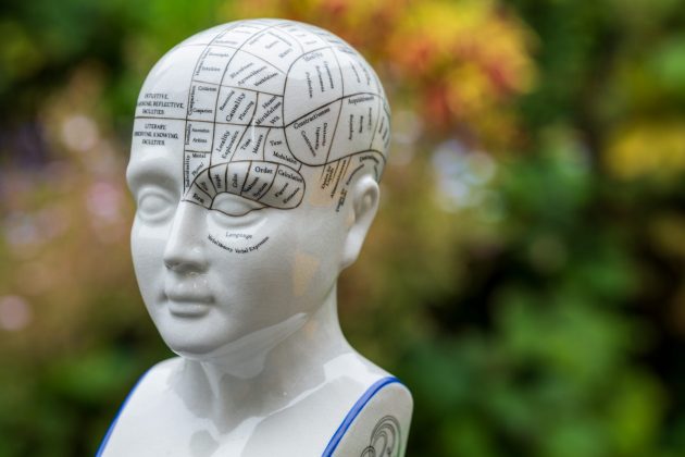 Обзор Sigma 135mm f/1.4 DG Art — портретник f/1.4