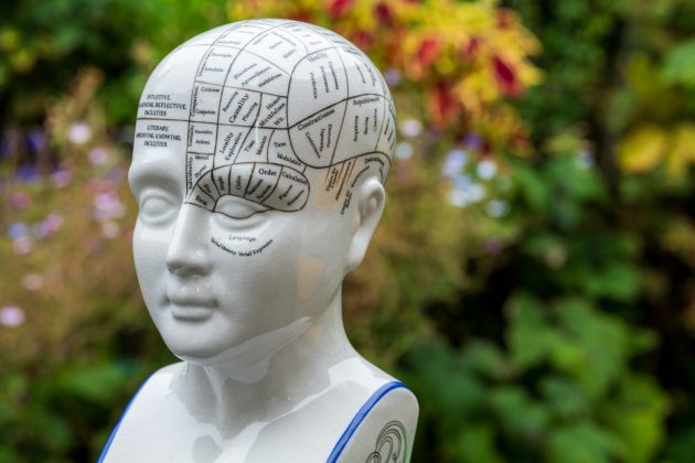 Обзор Sigma 135mm f/1.4 DG Art — портретник f/1.4