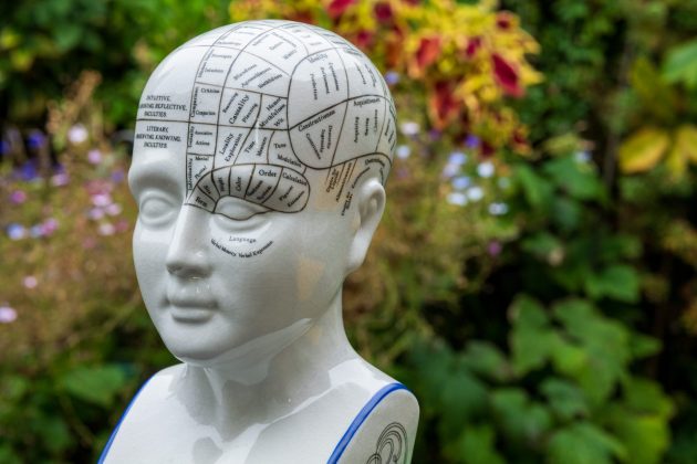 Обзор Sigma 135mm f/1.4 DG Art — портретник f/1.4