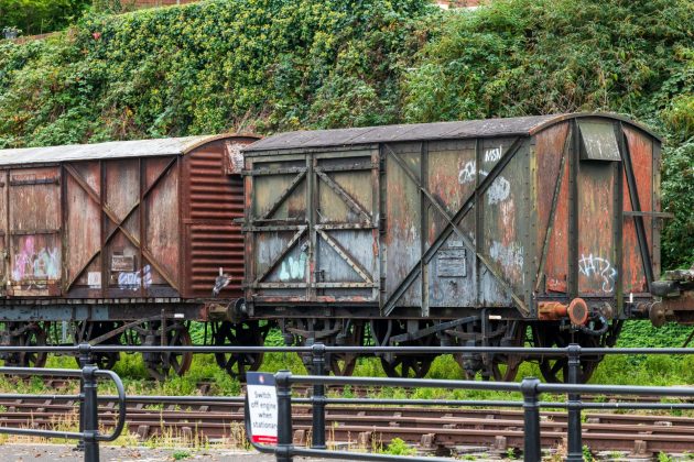 Обзор Sigma 135mm f/1.4 DG Art — портретник f/1.4