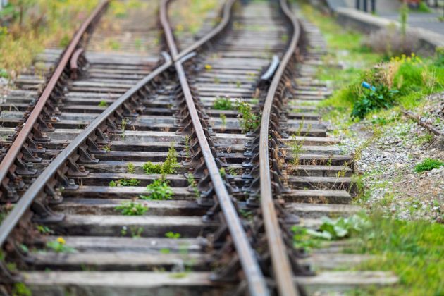 Обзор Sigma 135mm f/1.4 DG Art — портретник f/1.4