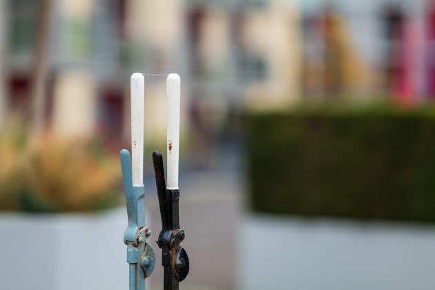 Обзор Sigma 135mm f/1.4 DG Art — портретник f/1.4