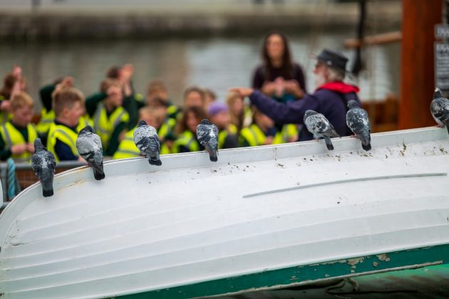 Обзор Sigma 135mm f/1.4 DG Art — портретник f/1.4