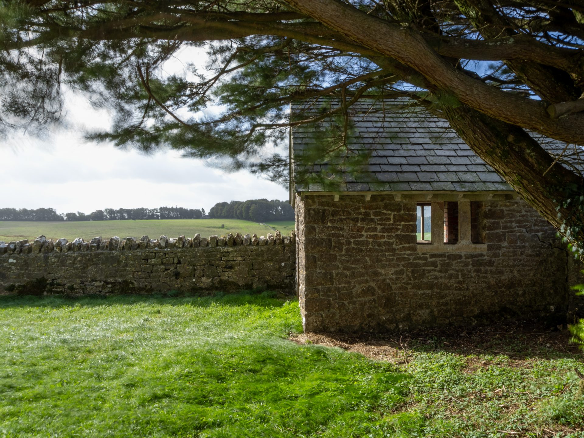 OM System OM-5 II компактная камера со стабилизацией