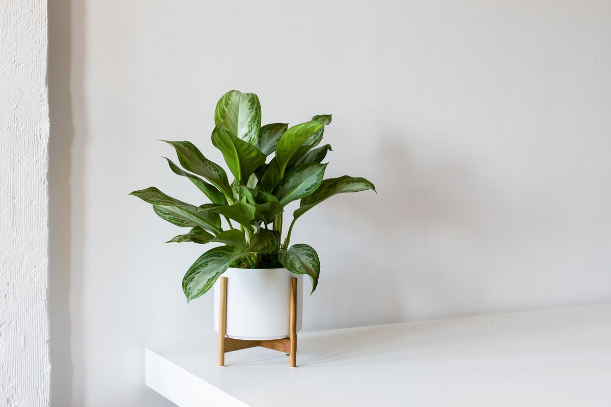 Провал Galaxy XR Samsung придумала 5 команд для шлема, и все они ужасно бесполезны