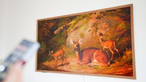 Провал Samsung Frame TV: как Hisense Canvas уделал конкурента за полцены