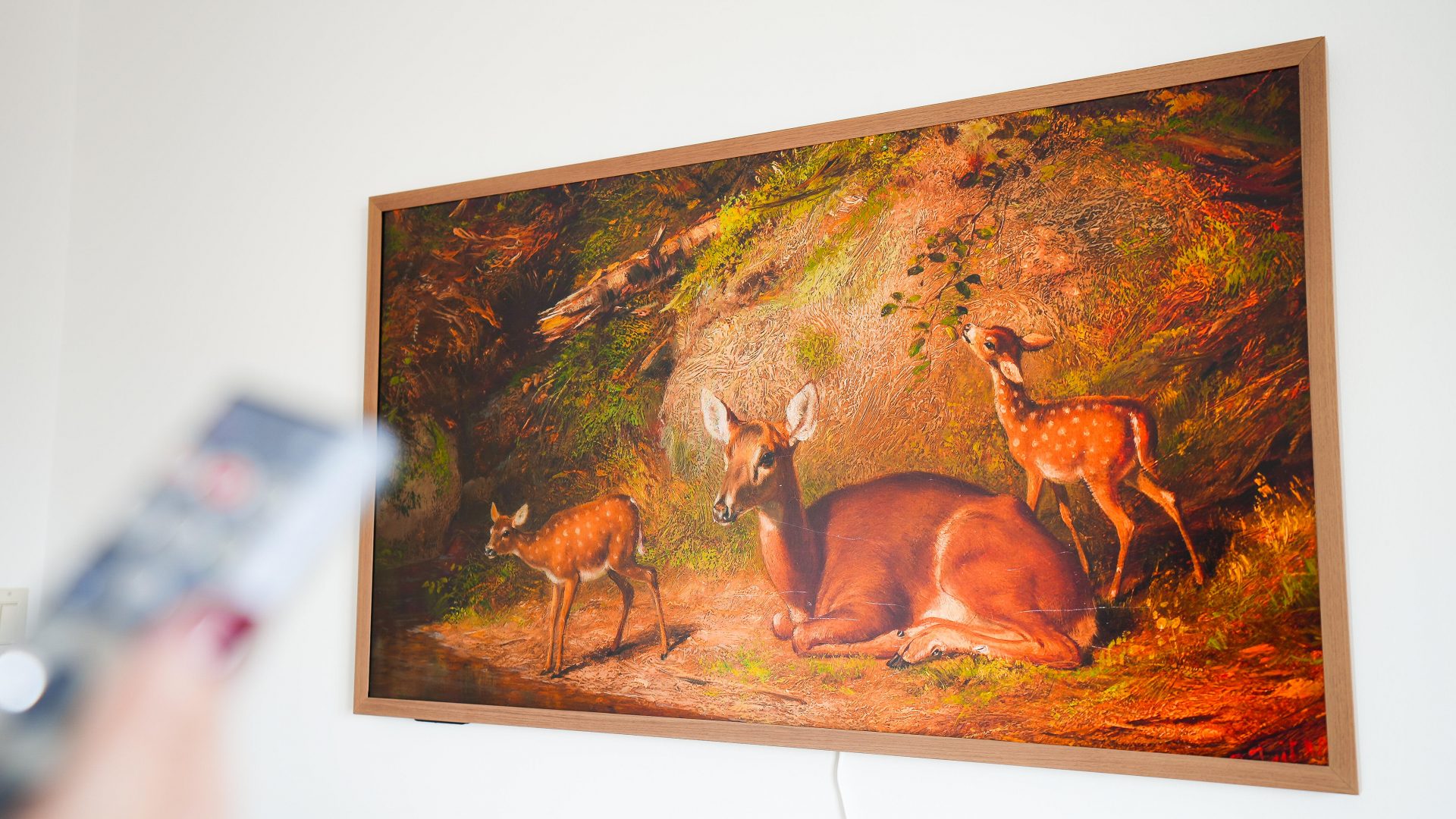 Провал Samsung Frame TV: как Hisense Canvas уделал конкурента за полцены