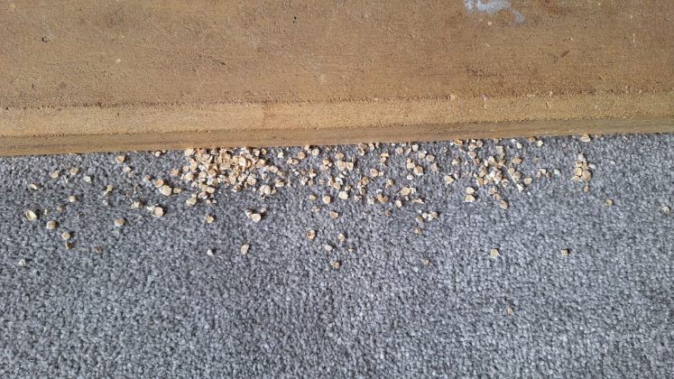 Пылесос Roborock H60 Ultra: честный разбор возможностей