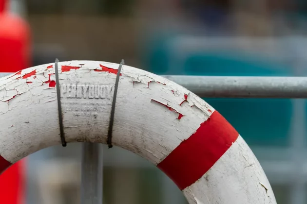 Обзор Sigma 200mm f/2 DG OS Sports — быстрый телевик