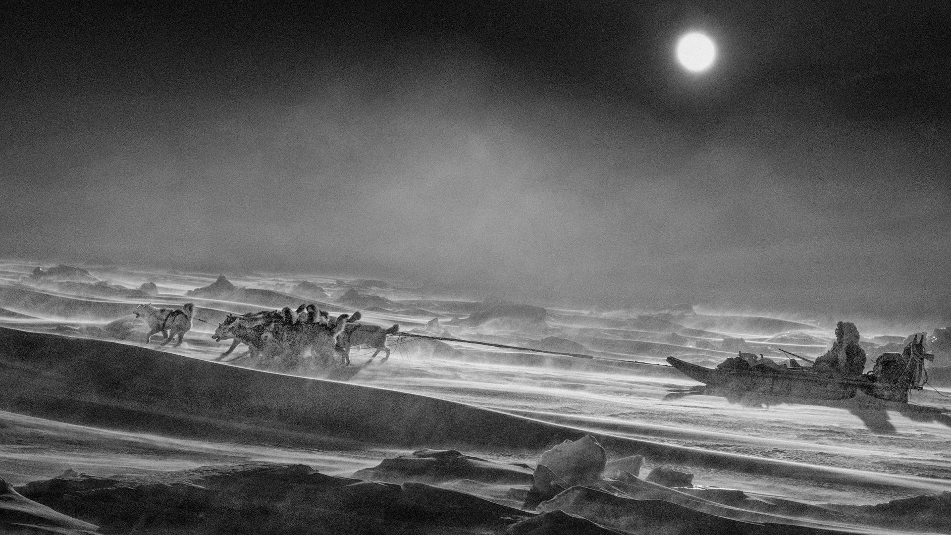 RPS Awards 2025: лучшие фотографии, которые потрясают мир