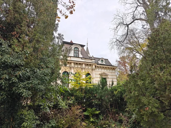 С камерой OnePlus 15 что-то не так. Объясняем, почему все так плохо