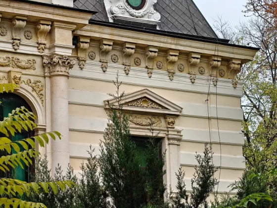 С камерой OnePlus 15 что-то не так. Объясняем, почему все так плохо