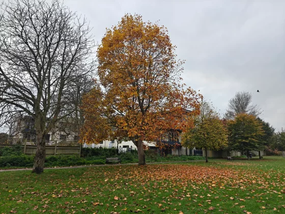 С OnePlus 15 что-то не так компания зря отказалась от своих главных фишек