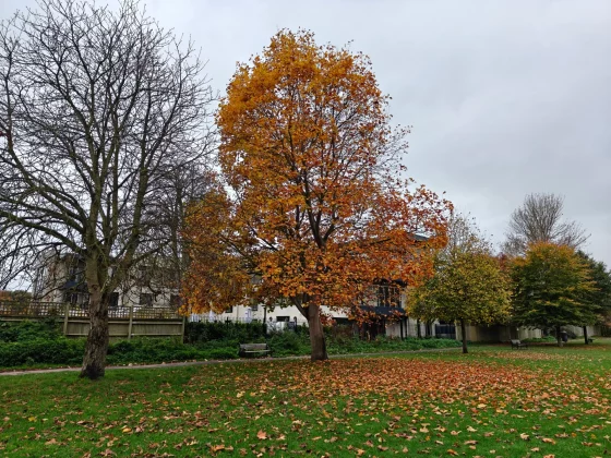 С OnePlus 15 что-то не так компания зря отказалась от своих главных фишек