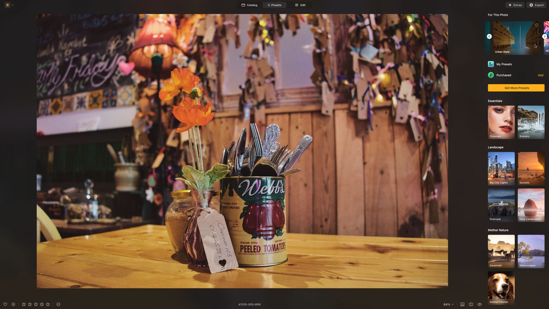 Skylum Luminar Neo — ИИ для фотографий и реальность