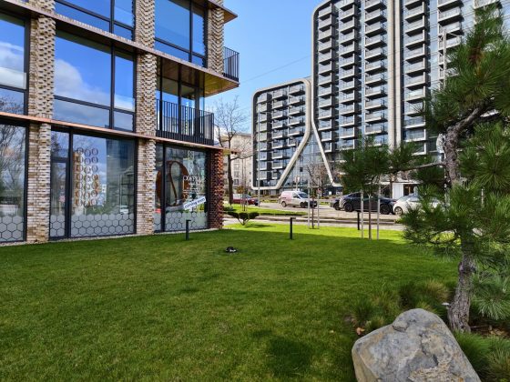 Смартфон iQOO 15: апгрейд дисплея, новая камера