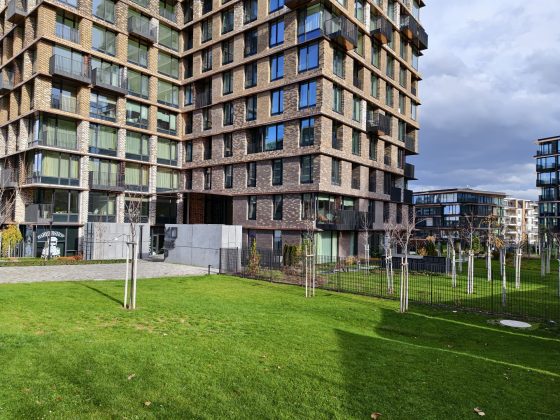 Смартфон iQOO 15: апгрейд дисплея, новая камера