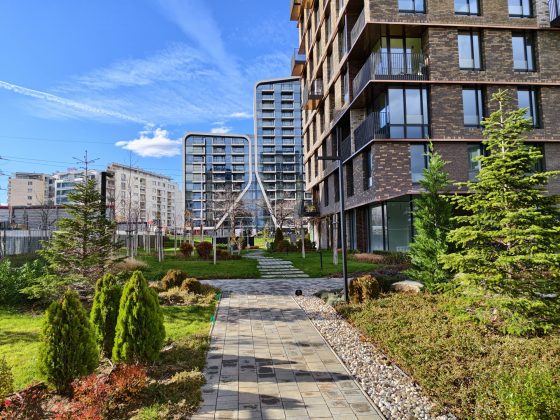 Смартфон iQOO 15: апгрейд дисплея, новая камера