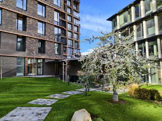 Смартфон iQOO 15: апгрейд дисплея, новая камера