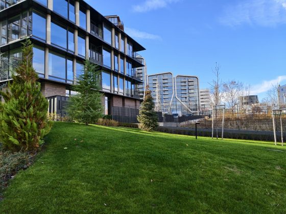 Смартфон iQOO 15: апгрейд дисплея, новая камера