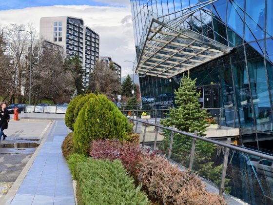 Смартфон iQOO 15: апгрейд дисплея, новая камера