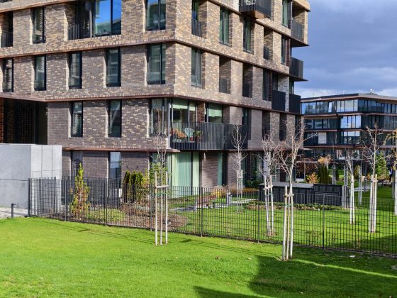 Смартфон iQOO 15: апгрейд дисплея, новая камера