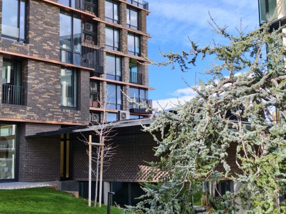 Смартфон iQOO 15: апгрейд дисплея, новая камера