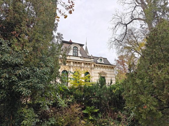 Смартфон OnePlus 15 с 50 МП камерой и улучшенным зумом