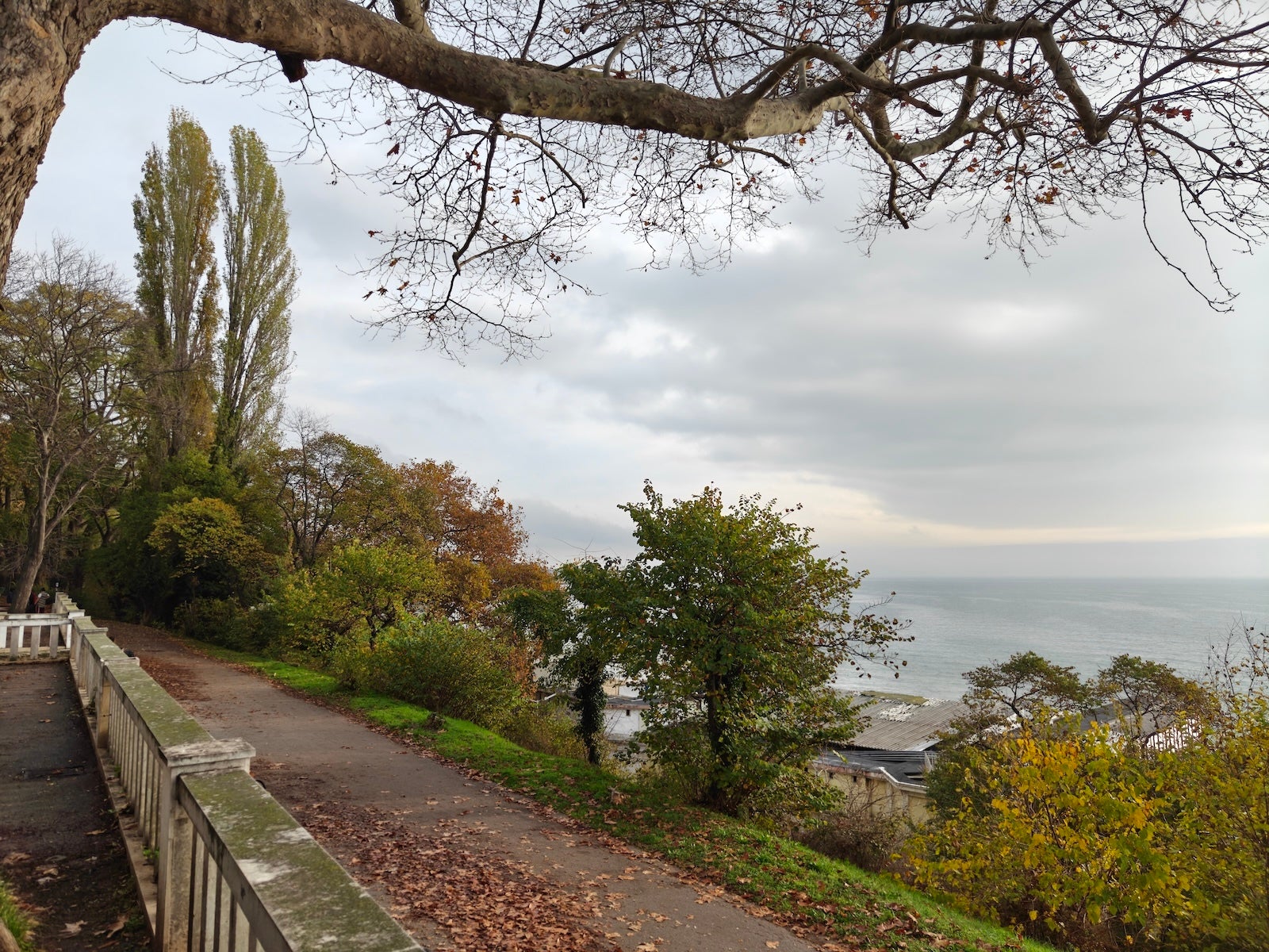 OnePlus 15 против Galaxy S25 Ultra: камера шокирует всех картинка Смартфон OnePlus 15 с выгодной скидкой и бонусами