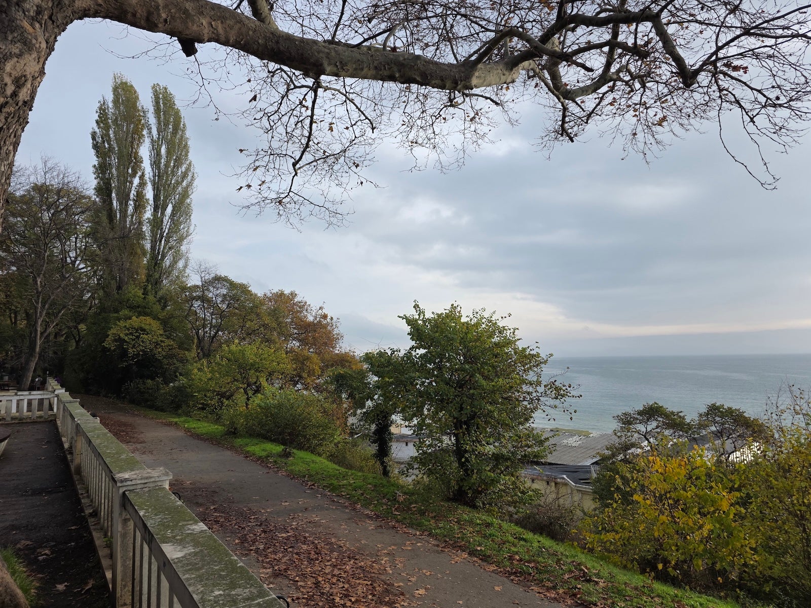 OnePlus 15 против Galaxy S25 Ultra: камера шокирует всех картинка Смартфон OnePlus 15 с выгодной скидкой и бонусами