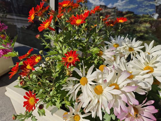 Смартфон Poco F8 Pro: компактнее, мощнее и с телевиком