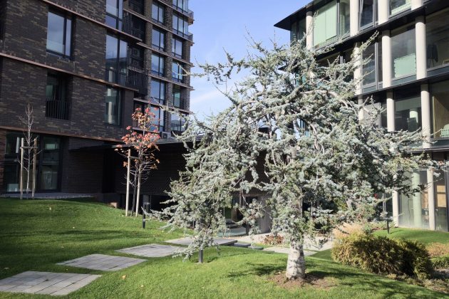 Смартфон Realme GT 8 Pro — камера и дисплей 7000 нит