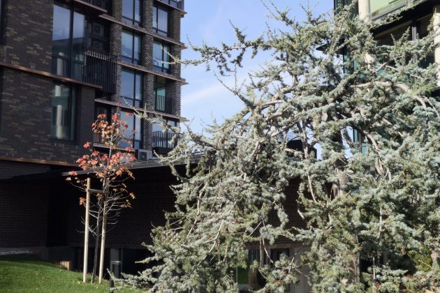 Смартфон Realme GT 8 Pro — камера и дисплей 7000 нит