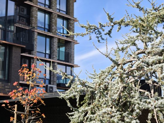 Смартфон Realme GT 8 Pro — камера и дисплей 7000 нит