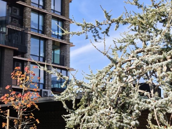 Смартфон Realme GT 8 Pro — камера и дисплей 7000 нит