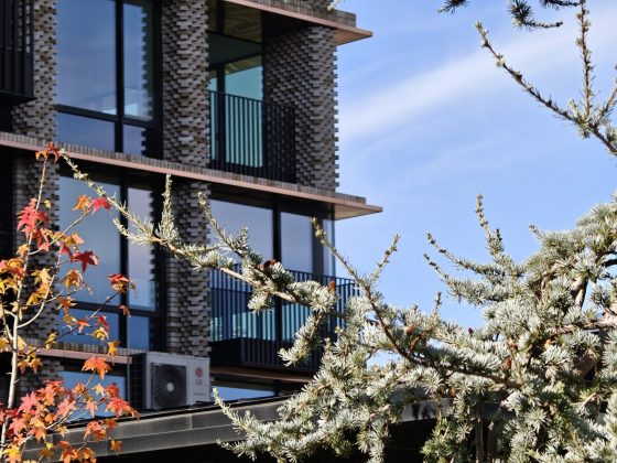 Смартфон Realme GT 8 Pro — камера и дисплей 7000 нит