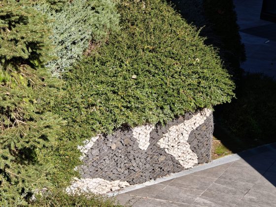 Смартфон Realme GT 8 Pro — камера и дисплей 7000 нит