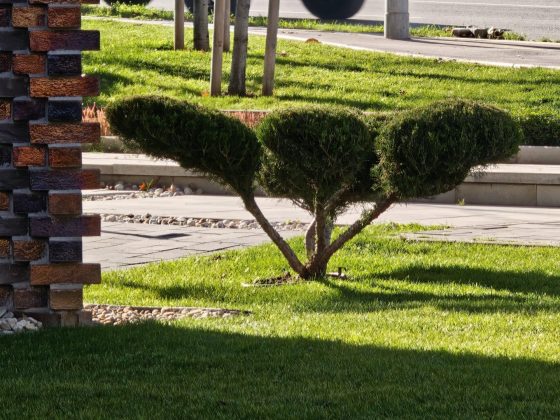 Смартфон Realme GT 8 Pro — камера и дисплей 7000 нит