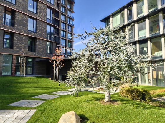 Смартфон Realme GT 8 Pro — камера и дисплей 7000 нит