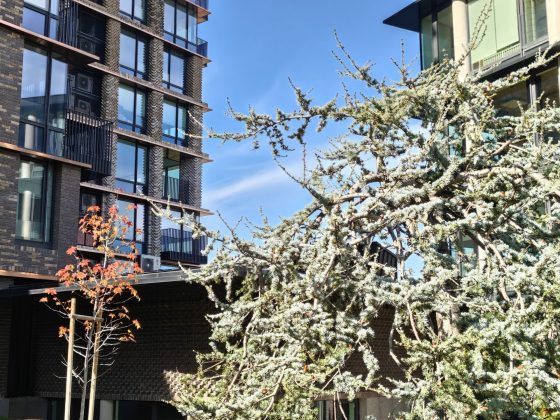 Смартфон Realme GT 8 Pro — камера и дисплей 7000 нит