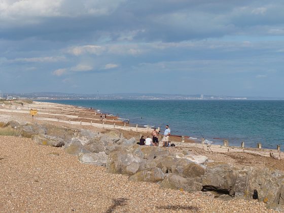 Смартфон Sony Xperia 1 VII: стильный «кирпич» для фанатов