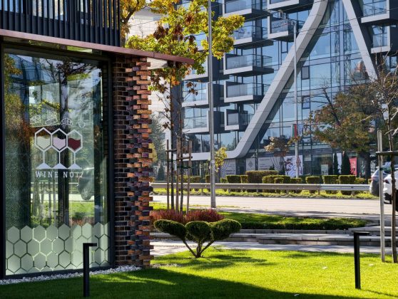 Смартфон vivo X300 Pro: камера, дисплей и OriginOS 6