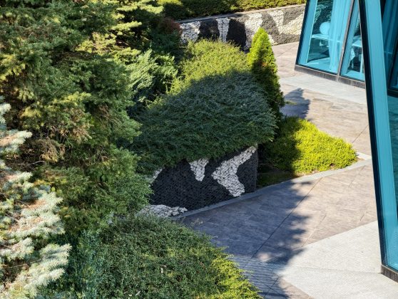 Смартфон vivo X300 Pro: камера, дисплей и OriginOS 6