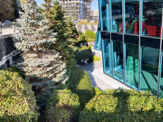 Смартфон vivo X300 Pro: камера, дисплей и OriginOS 6