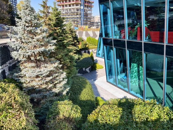 Смартфон vivo X300 Pro: камера, дисплей и OriginOS 6