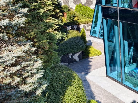 Смартфон vivo X300 Pro: камера, дисплей и OriginOS 6