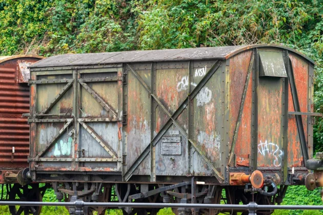 Обзор Sigma 200mm f/2 DG OS Sports — быстрый телевик