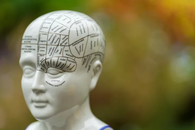 Обзор Sigma 200mm f/2 DG OS Sports — быстрый телевик