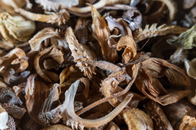 Удлинительные кольца Viltrox DG AF: макроапгрейд без боли