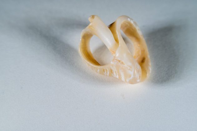 Удлинительные кольца Viltrox DG AF: макроапгрейд без боли